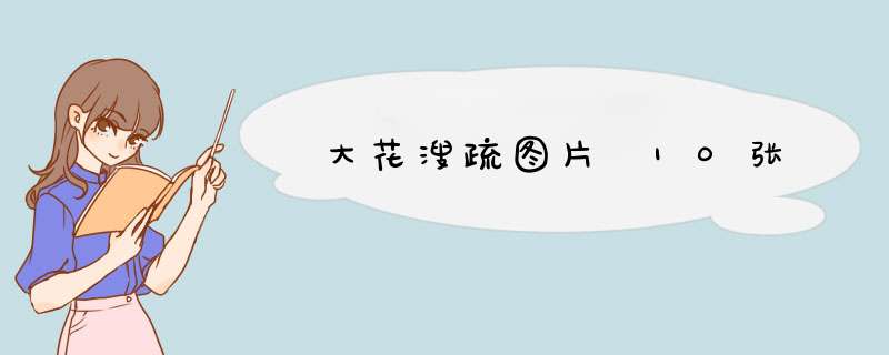 大花溲疏图片 10张